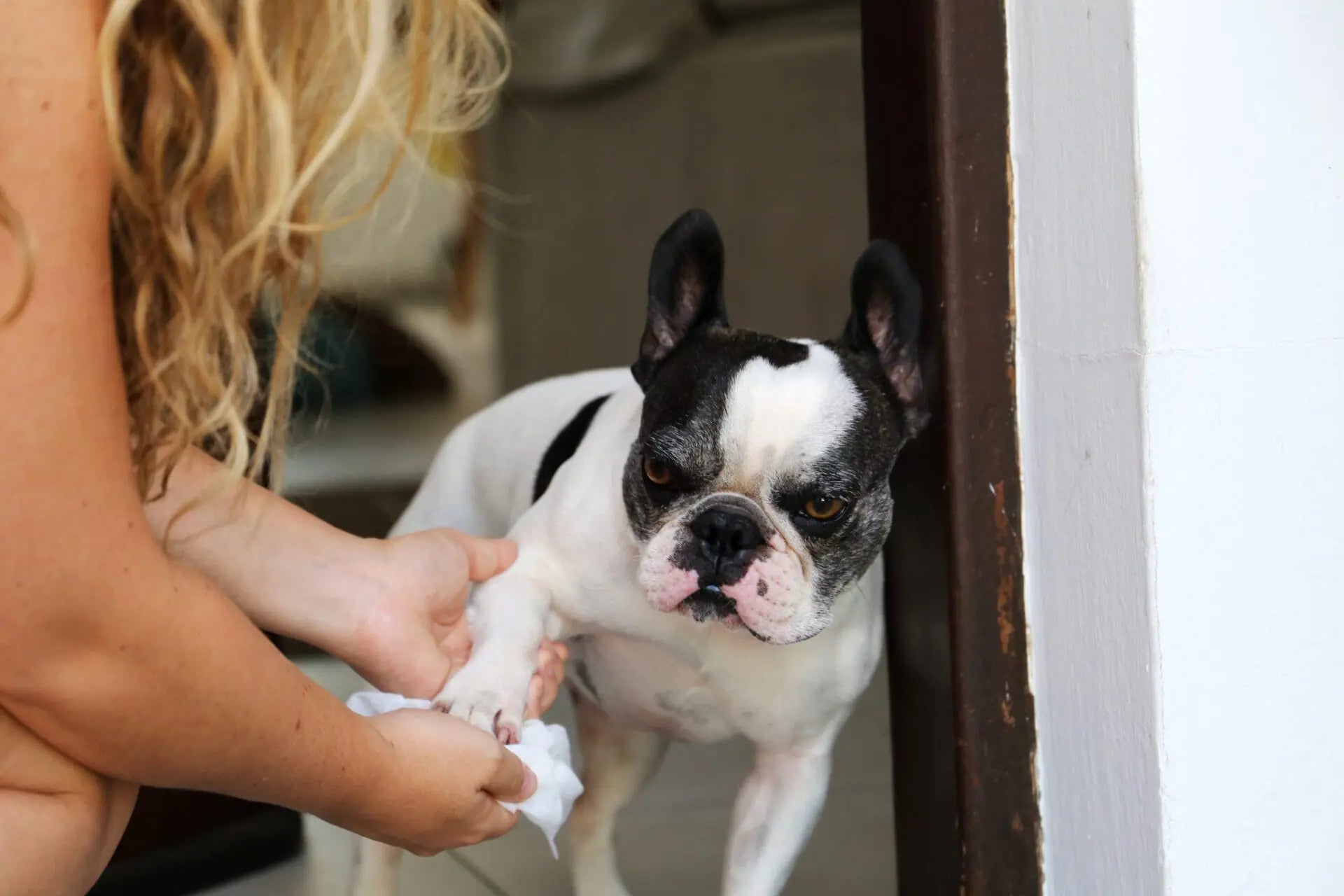 Owner gently washing their dog’s paw outdoors to remove dirt and allergens without over‑bathing.