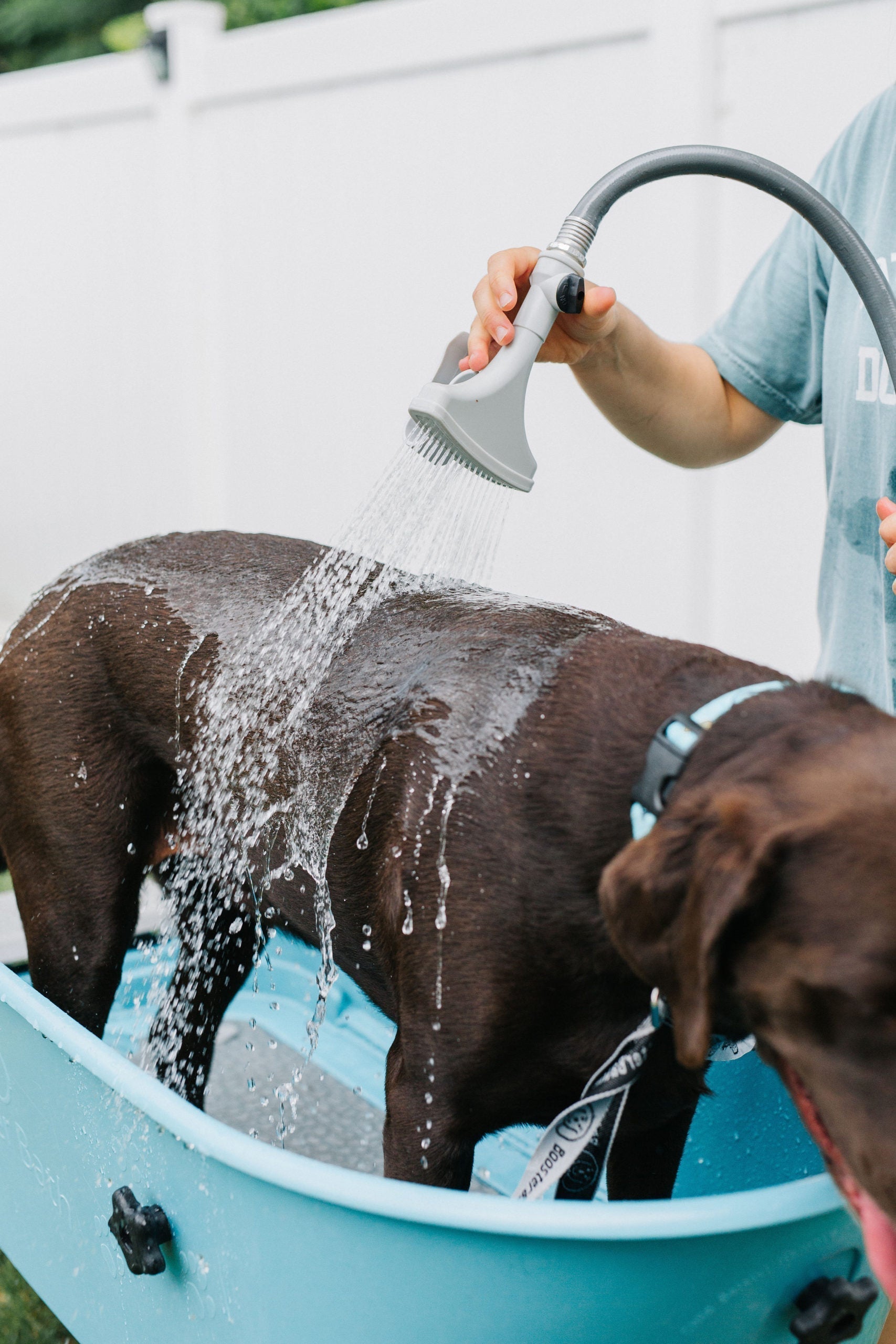 Owner rinsing a dog’s paws outdoors to remove allergens before a full bath.