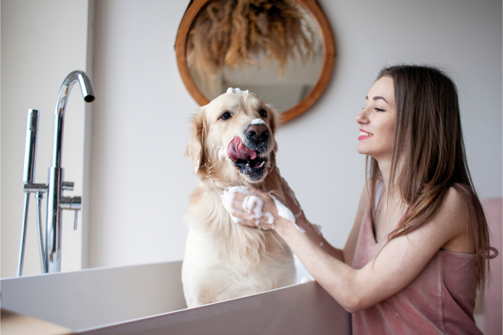 Owner bathing dog in clean, minimal bathroom.
