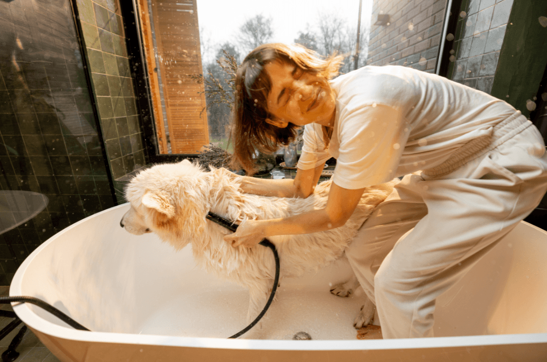 Woman washing wet dog happily in modern bathtub.